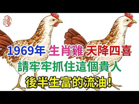 雞五行|屬雞的五行怎麼算？深入解析屬雞人的命理特點